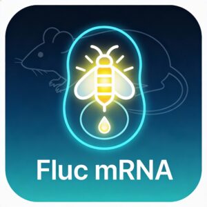 Fluc mRNA