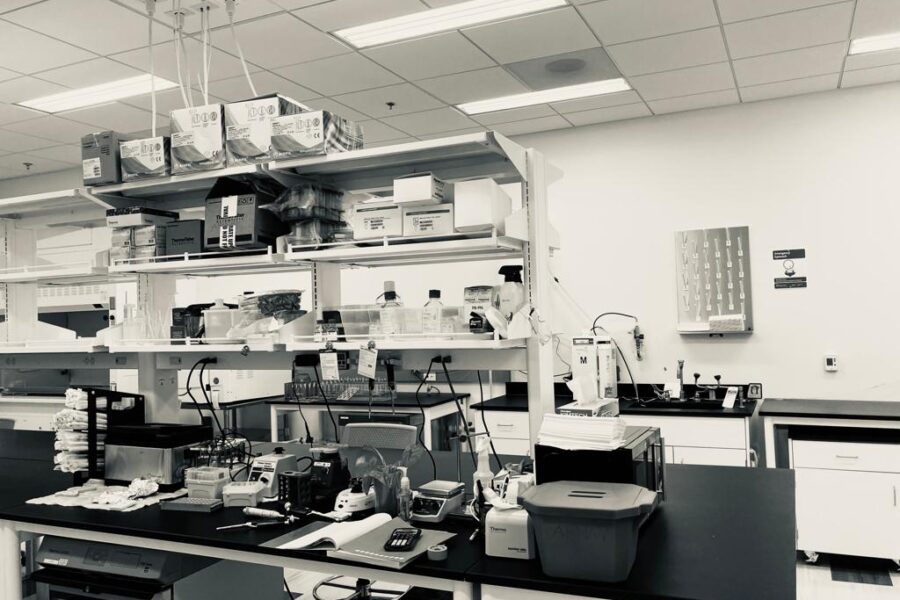 WhatsApp Image 2022-03-11 at 11.50.55 PM (10)