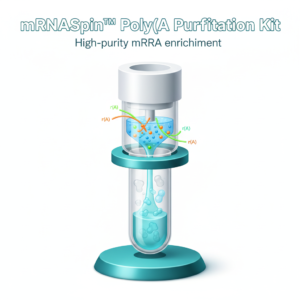mRNASpin™ Poly(A) Kit